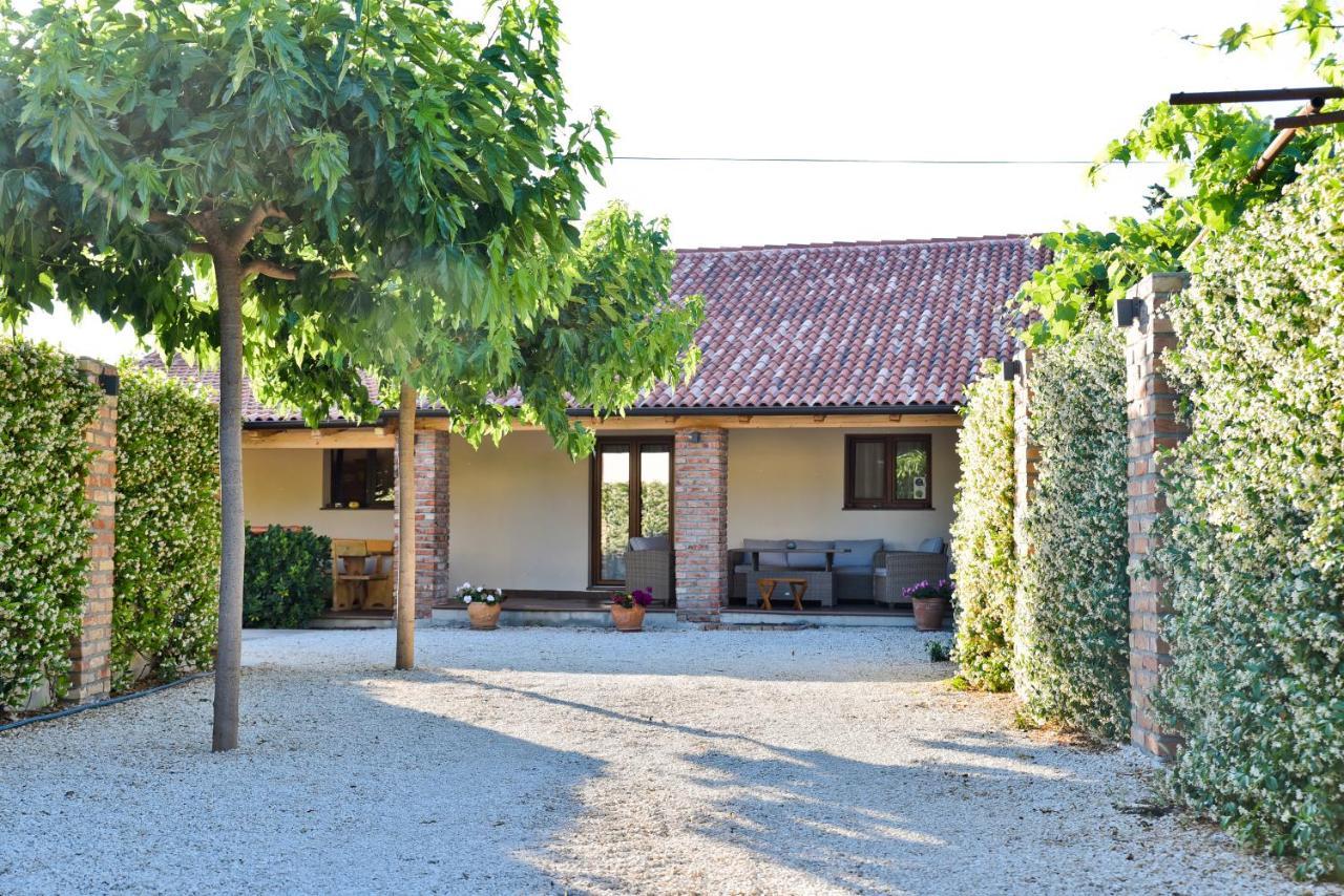 Villa Navita Augustinus With Pool Debeljak 外观 照片
